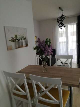 Апартаменты Verde Apartment Будва Апартаменты с 1 спальней-19