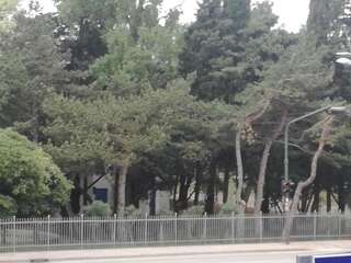 Апартаменты Verde Apartment Будва Апартаменты с 1 спальней-39