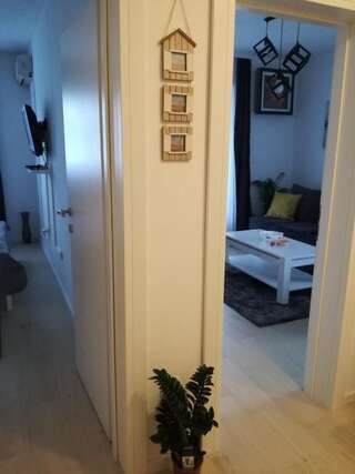 Апартаменты Verde Apartment Будва Апартаменты с 1 спальней-60